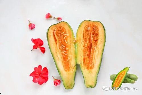 怀仁最近网红大瓜,揭秘背后惊人真相